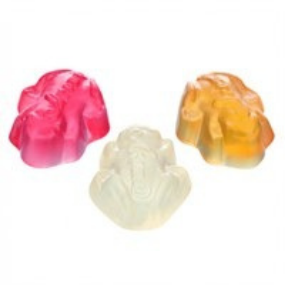 Tropical Frogs product photo