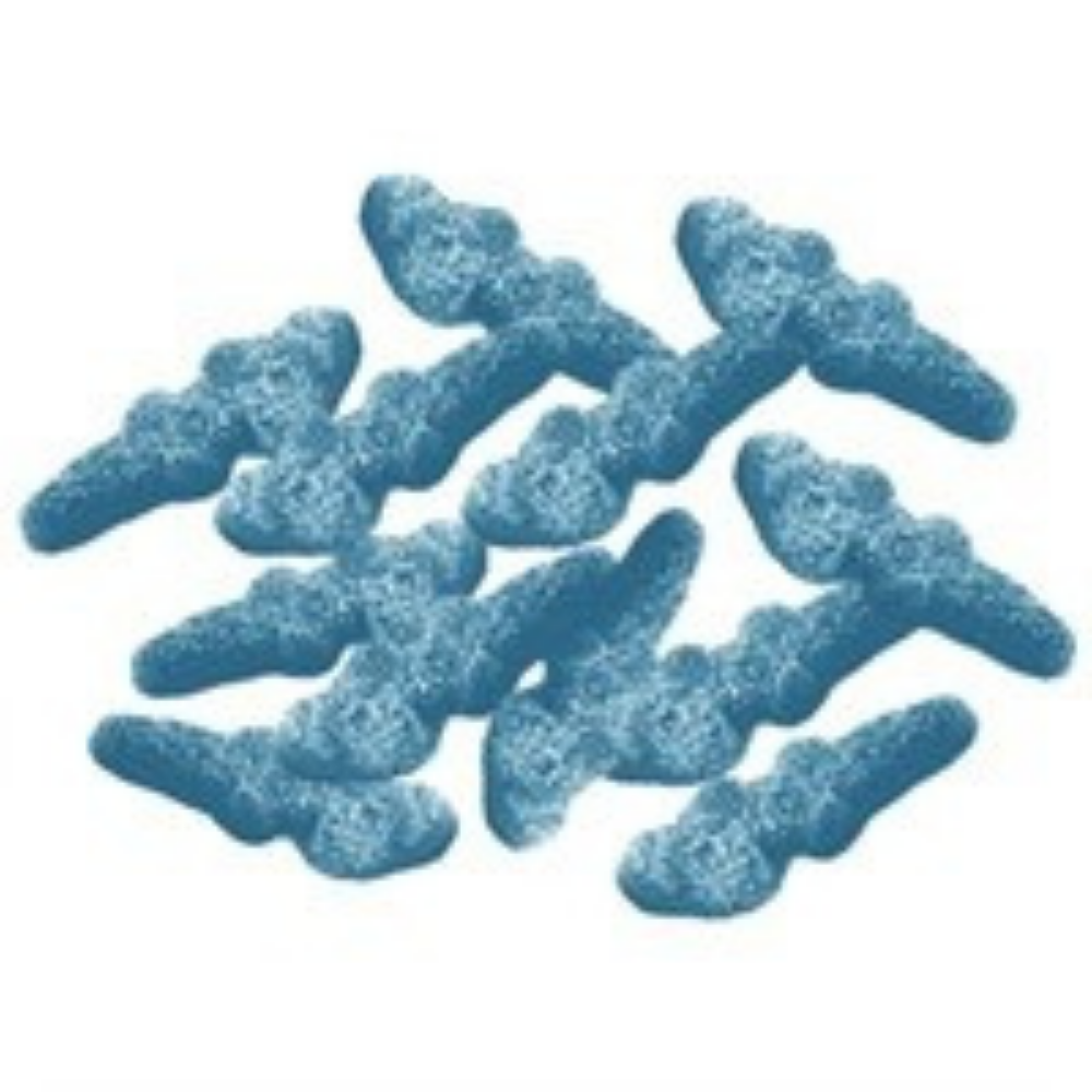 Jellioo Sour Blue Crocodiles 1kg bulk candy
