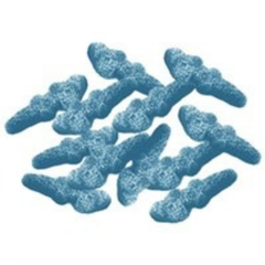 Jellioo Sour Blue Crocodiles 1kg bulk candy