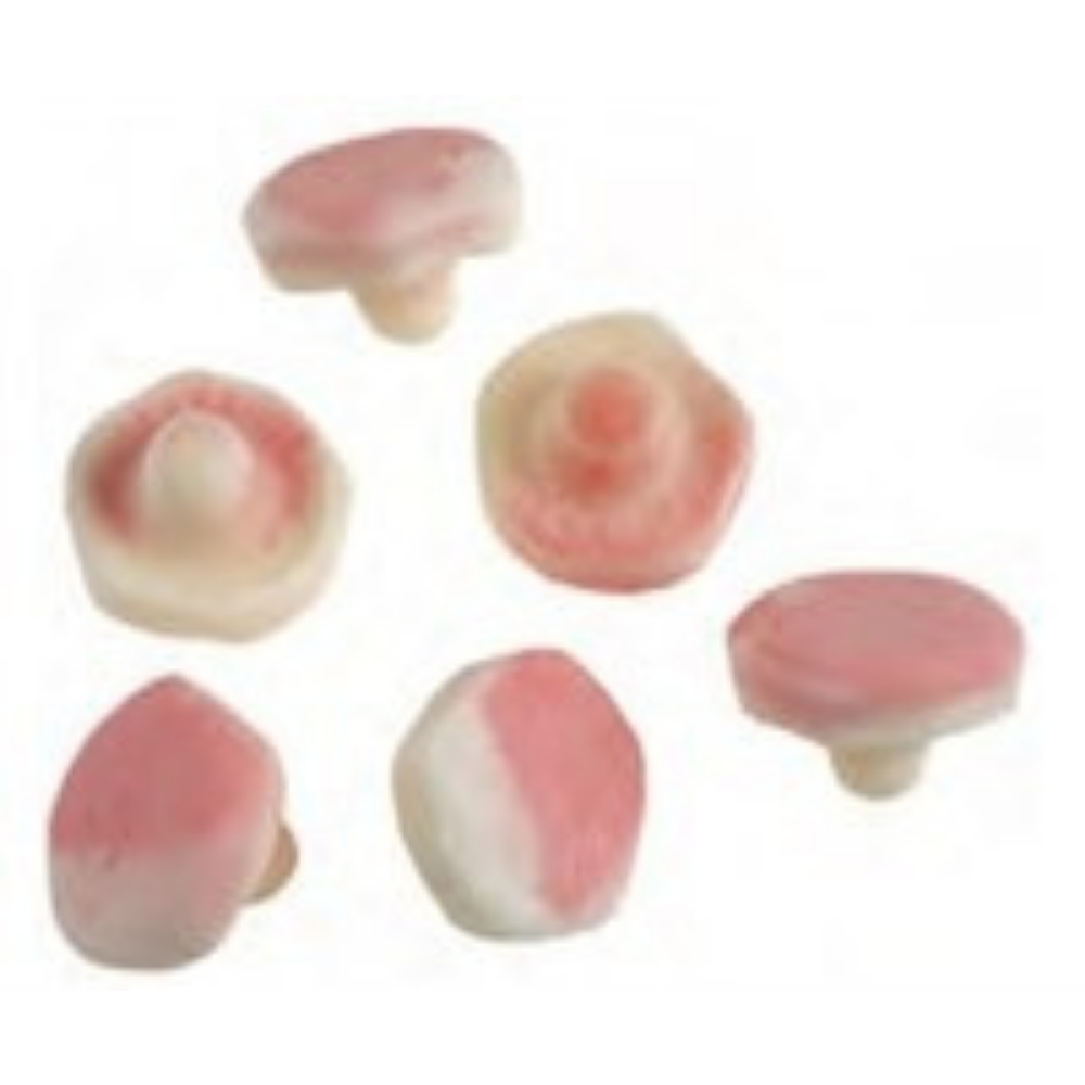 Fruit Mushrooms product photo