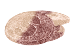 S-Mark Fizzy Cola 8.8 lb (4kg)-1