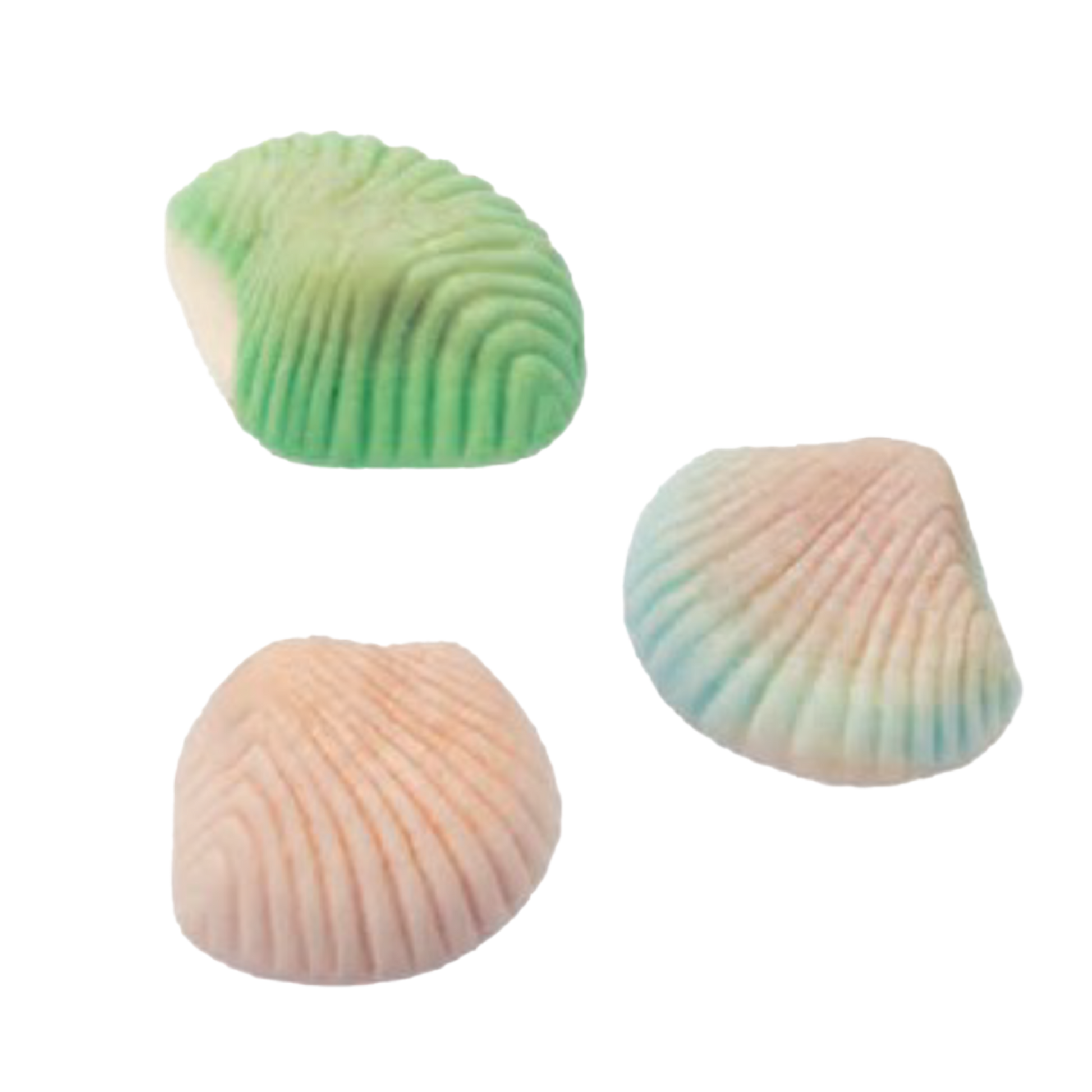 Foam Shells 4.4 lb (2kg)-1