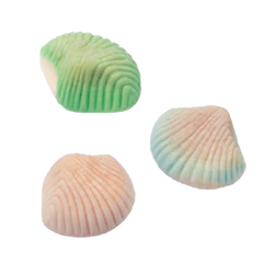 Foam Shells 4.4 lb (2kg)-1