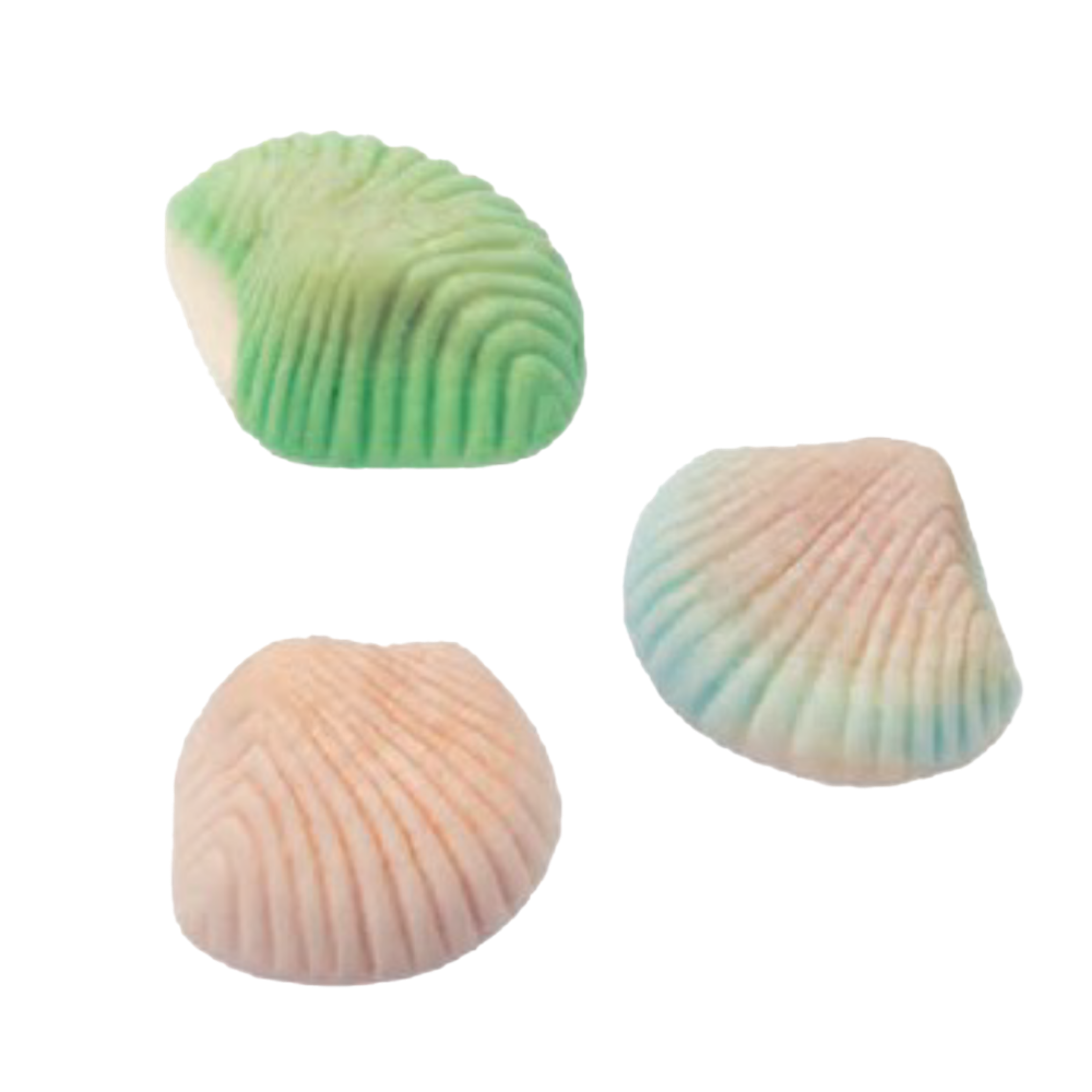 Foam Shells 4.4 lb (2kg)-1