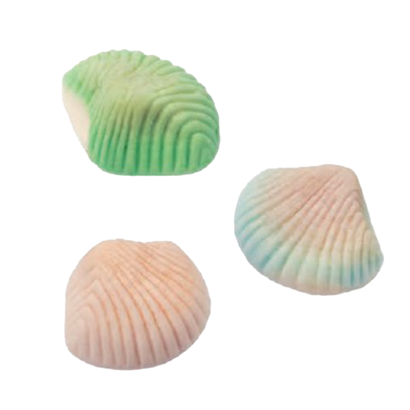Foam Shells 4.4 lb (2kg)-1